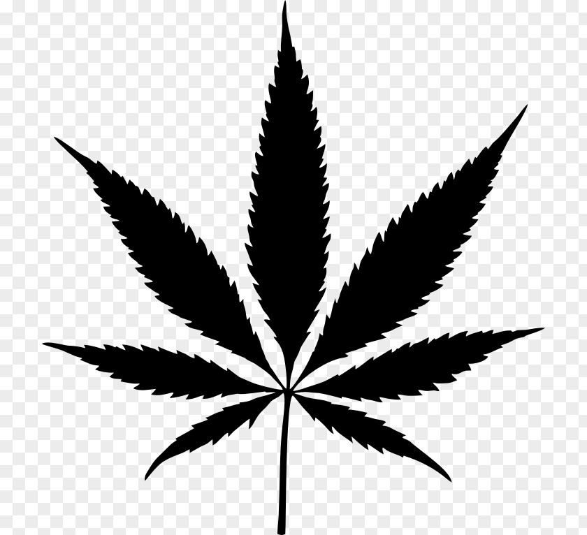 Marijuana Cannabis Leaf Hashish Clip Art PNG