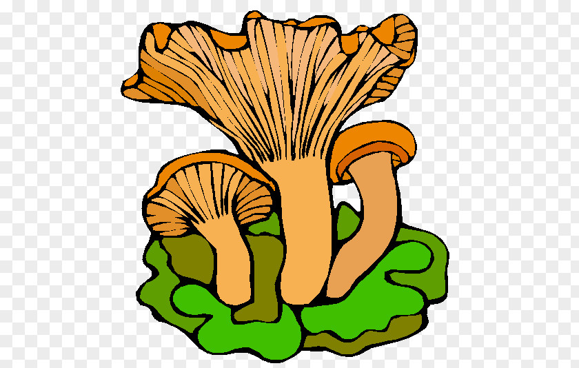 Mushroom Fly Agaric Fungus GIF Animation PNG