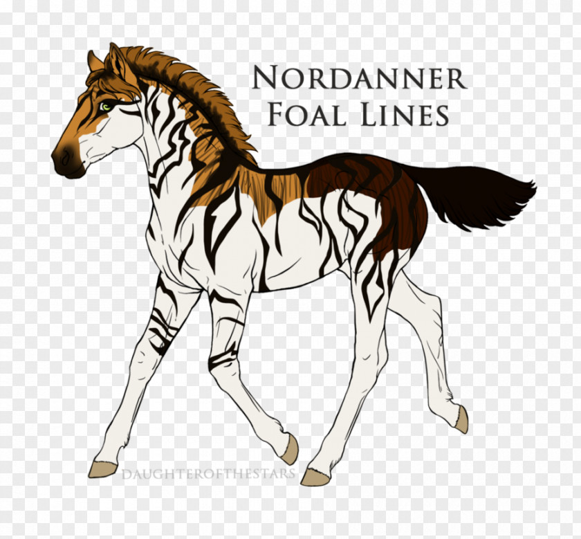 Mustang Pony Foal Stallion Mane PNG