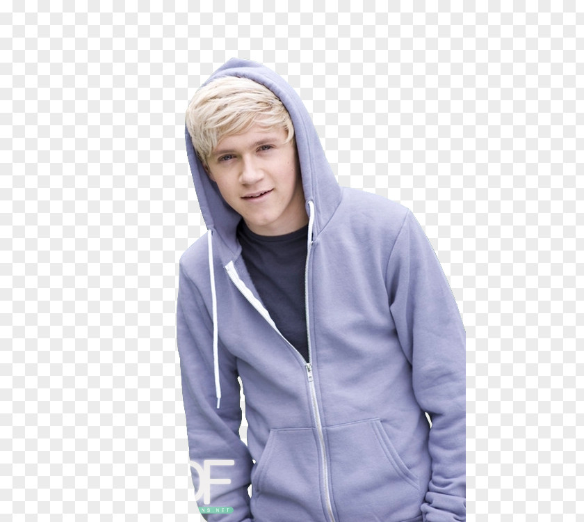 One Direction Niall Horan Musician The BRIT Awards PNG