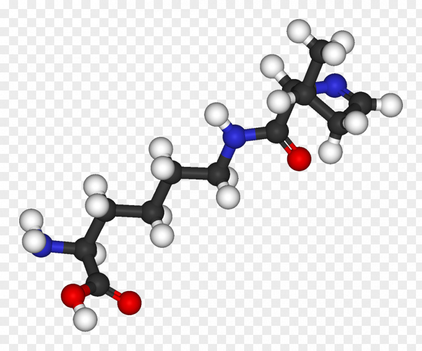 Protein Pyrrolysine Amino Acid Stop Codon Methanogen Genetic Code PNG