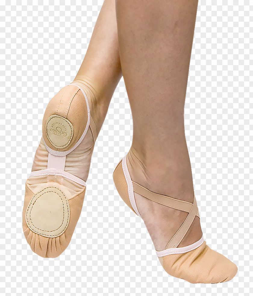 Ballet Shoe Dance Slipper Clothing Footwear Flat PNG