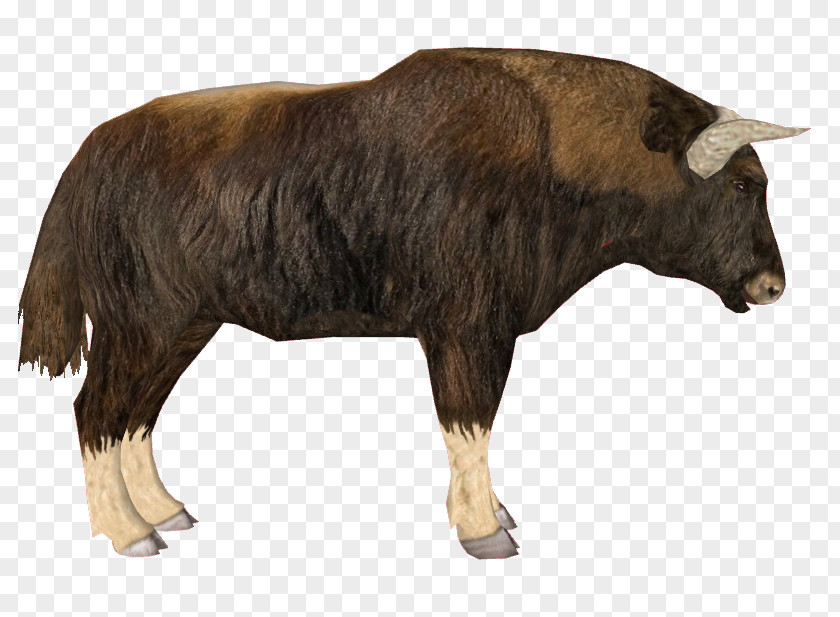 Bison Domestic Yak Zoo Tycoon 2 Cattle Muskox PNG