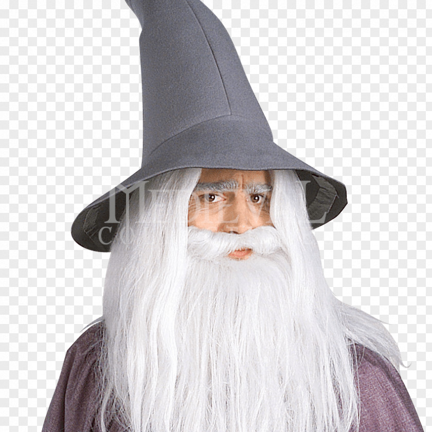 Gandalf Hat Transparent Background The Lord Of Rings: Fellowship Ring Arwen Robe PNG