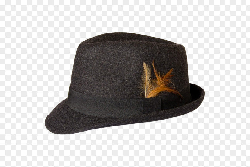 Hat Fedora Trilby Cowboy Cap PNG