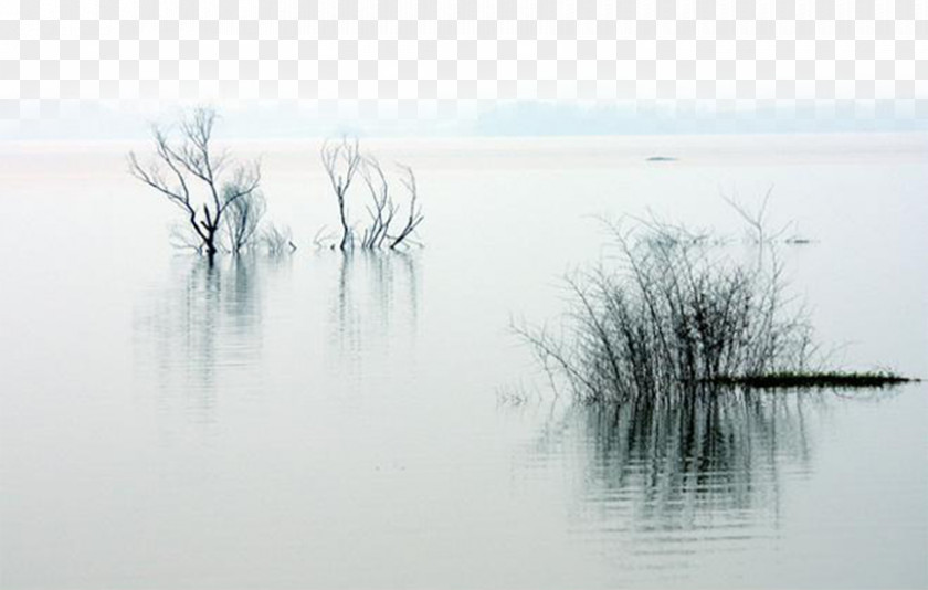 Ink Lake Decoration Material Wash Painting PNG