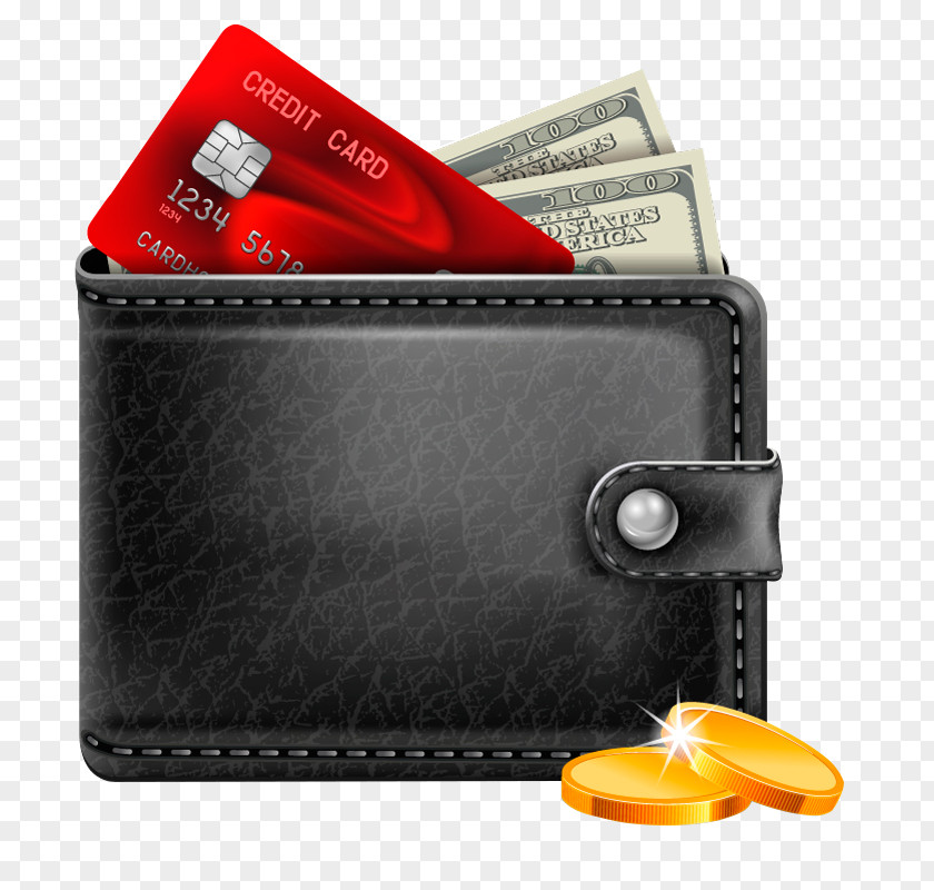 Wallet Money Handbag Bank Credit Card PNG