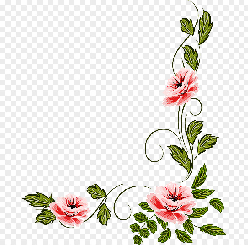 Geranium Hibiscus Wedding Floral Background PNG