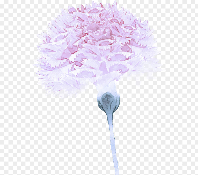 Pink Flower Lilac Cut Flowers Purple PNG