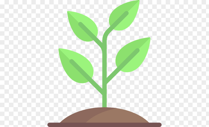 Sprouting Clip Art PNG