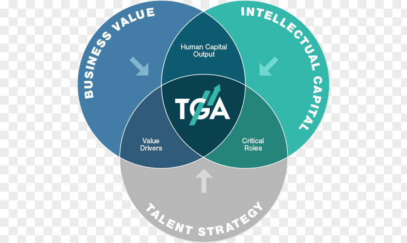 United States Patient Protection And Affordable Care Act Business Organization PNG