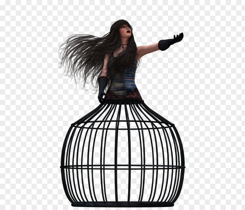 Birdcage Photography Woman PNG