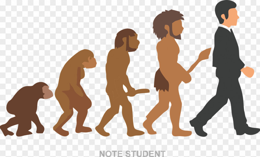 Evolution Neandertal Homo Sapiens The Of Living Things Coloring Book Human PNG