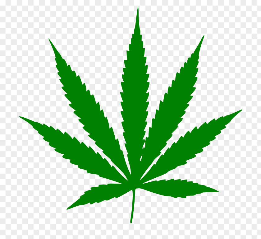 Green Leaf Icon Cannabis Ruderalis Sativa Clip Art PNG
