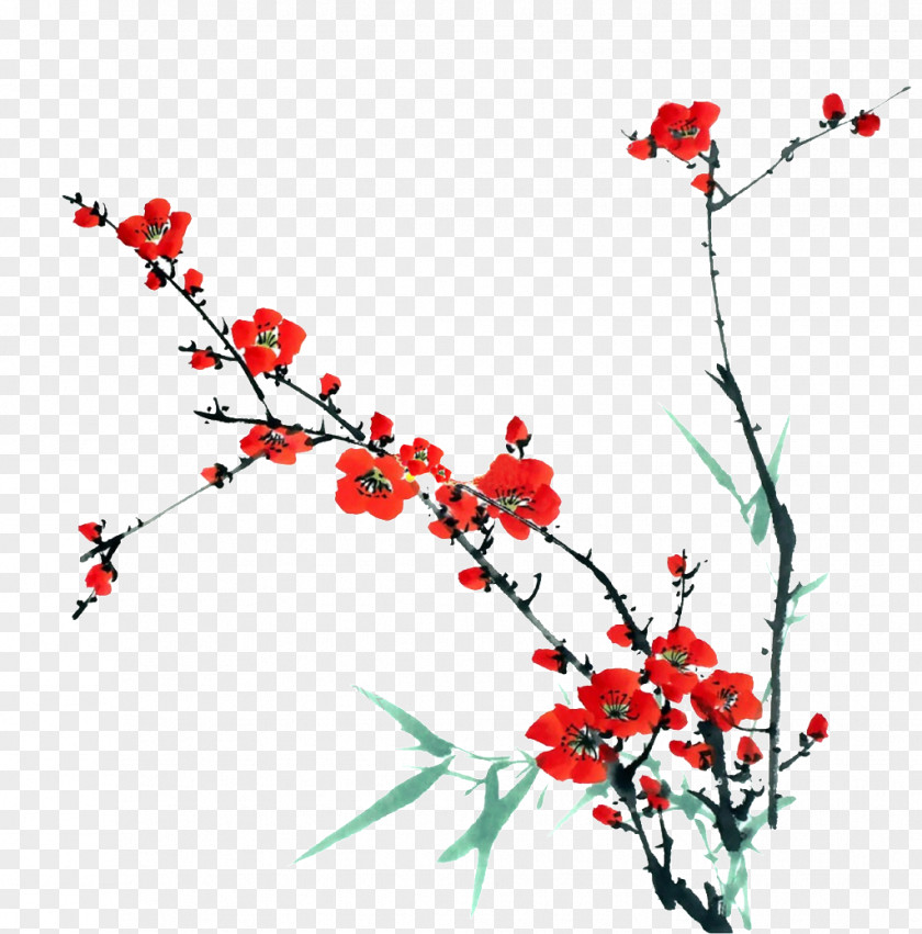 Japones Transparency And Translucency Plum Blossom Vector Graphics Image Chimonanthus Nitens PNG