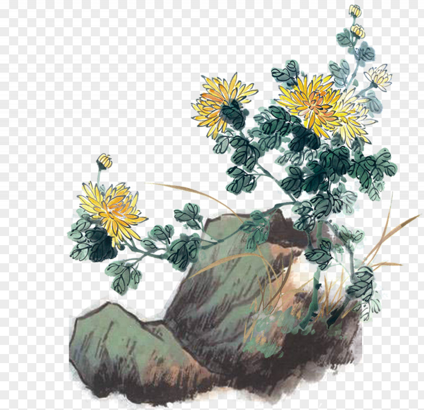 Painting Chrysanthemum Floral Design Ink Wash PNG