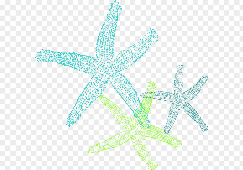 Starfish The Star Thrower Teal Turquoise Clip Art PNG