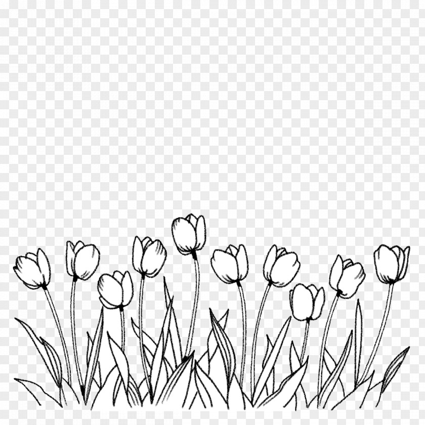 Tulips Flower Tulip Coloring Book Line Art Drawing PNG