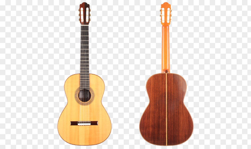 Acoustic Guitar Tiple Ukulele Cuatro PNG