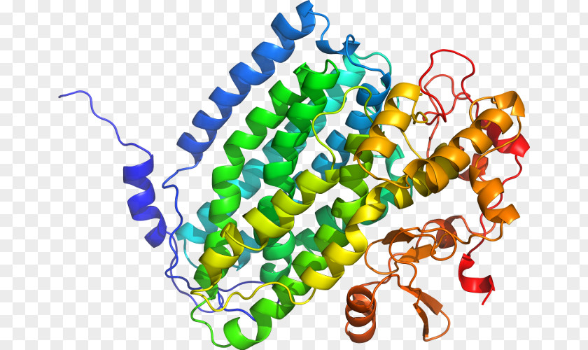 FNTB Farnesyltransferase Gene Protein Subunit Geranylgeranyltransferase Type 1 PNG