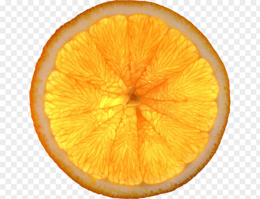 Fresh Lemon Slices Mandarin Orange Fruit Slice PNG