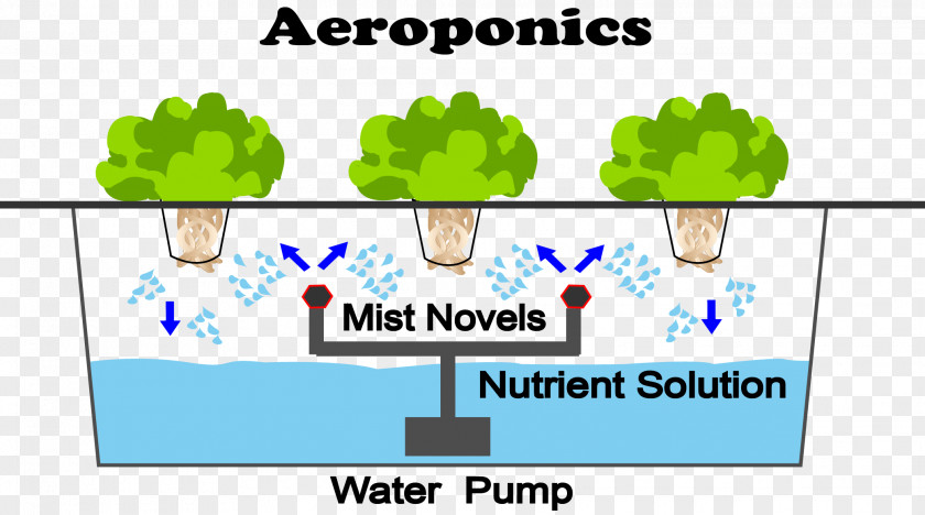 Hydroponic Grow Box Vegetables Aeroponics Hydroponics Agriculture System Organization PNG
