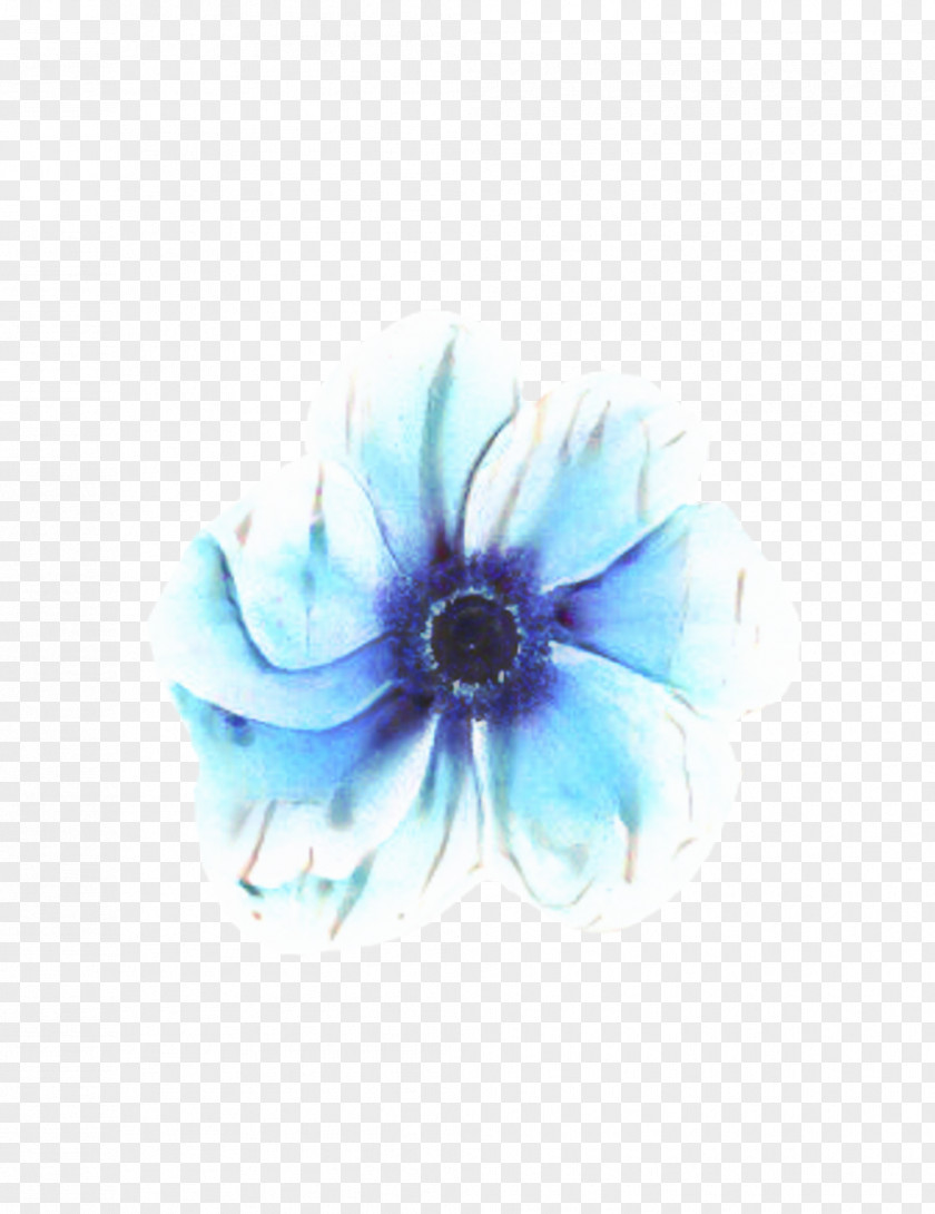 Wildflower Morning Glory White Abstract Background PNG