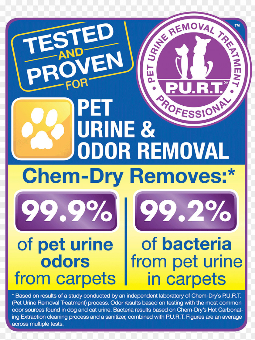 Carpet Chem-Dry Cleaning Cleaner PNG