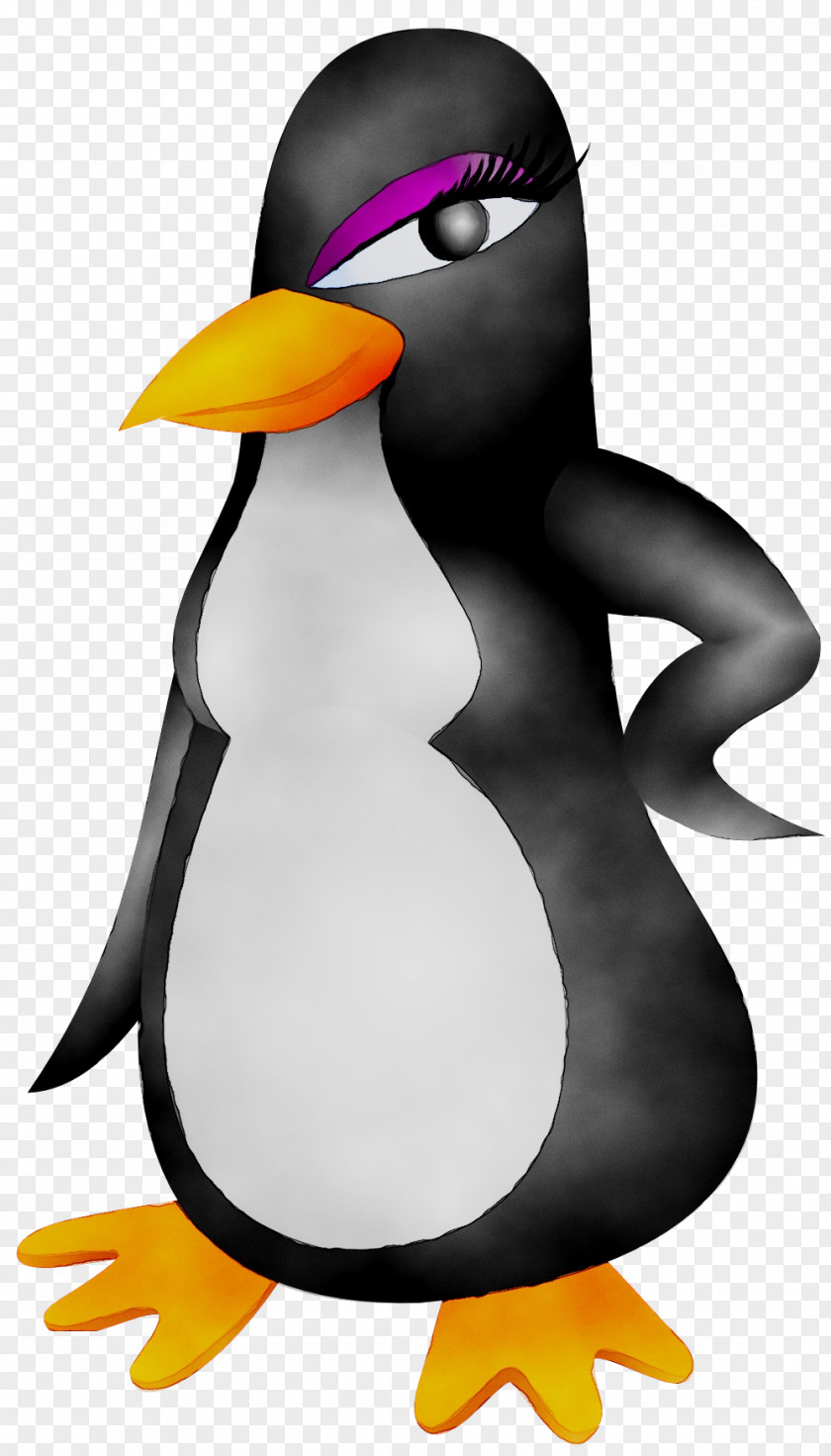 Emperor Penguin Clip Art Image Vector Graphics PNG