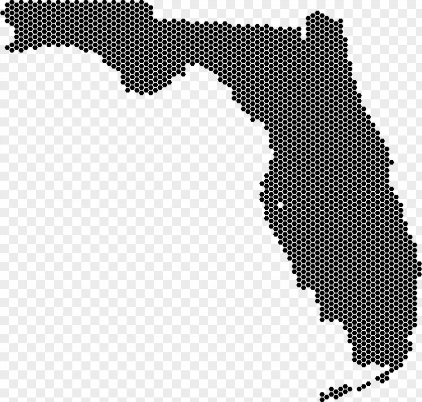 Hexagonal Florida Image File Formats Clip Art PNG