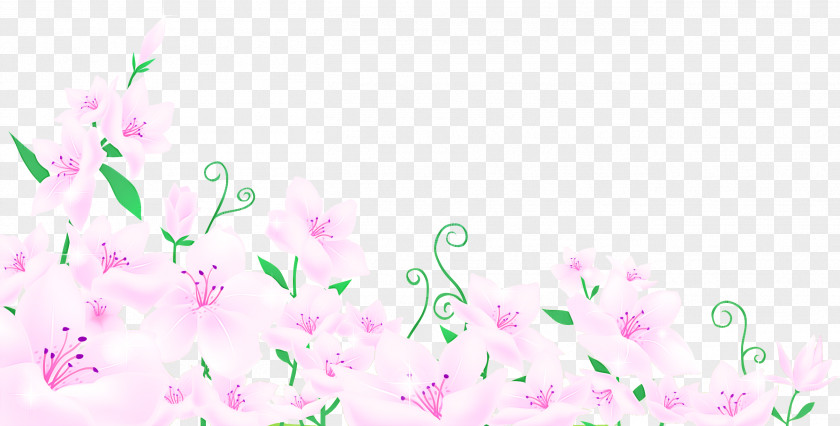 Lily Flower PNG