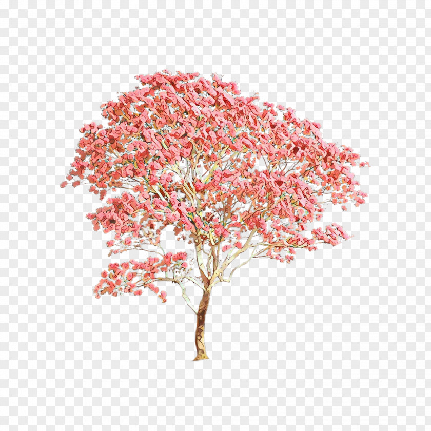 Plant Stem Cut Flowers Cherry Blossom Tree Drawing PNG