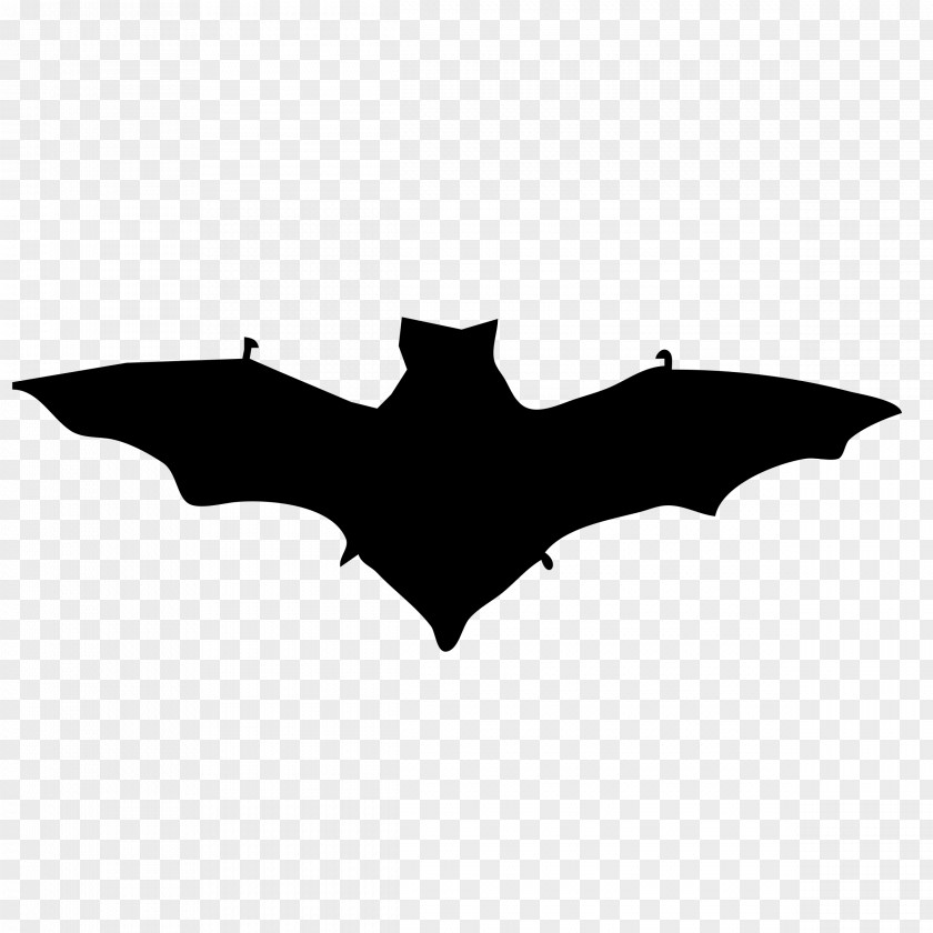 Silhouette Bat Clip Art PNG