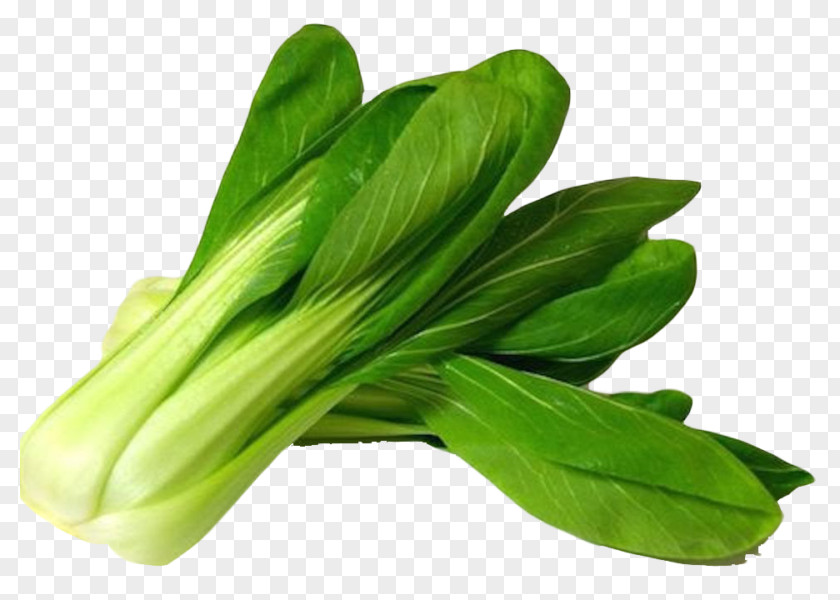 Yu Choy Sum Bok Chinese Cuisine Cabbage Clip Art Vegetable PNG