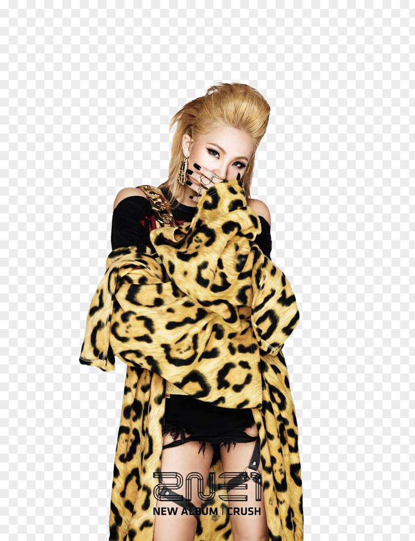 Cl 2NE1 COME BACK HOME Crush YG Entertainment K-pop PNG