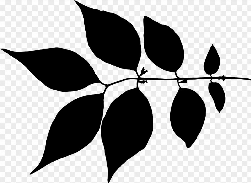 Clip Art Leaf Plant Stem Flower Pattern PNG