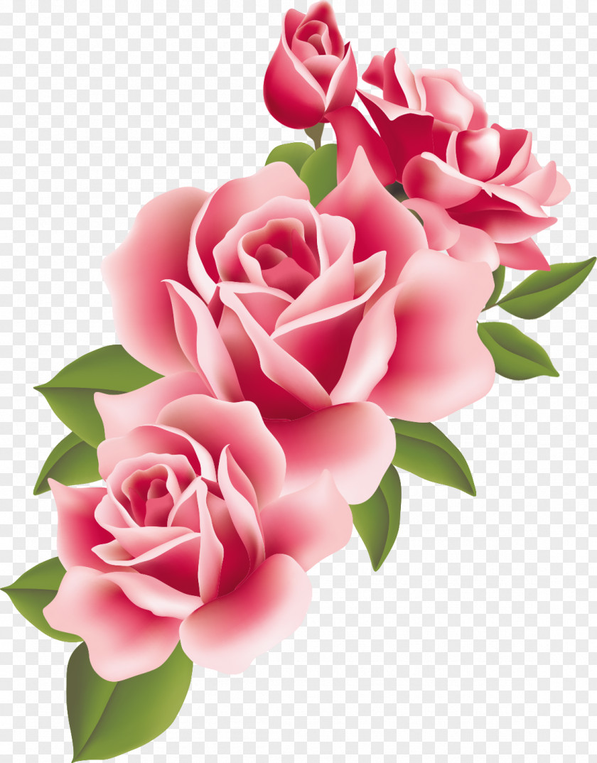 Flower Garden Roses Centifolia Floral Design Pink Floribunda PNG
