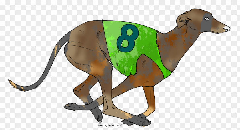 Greyhound Italian Snout PNG
