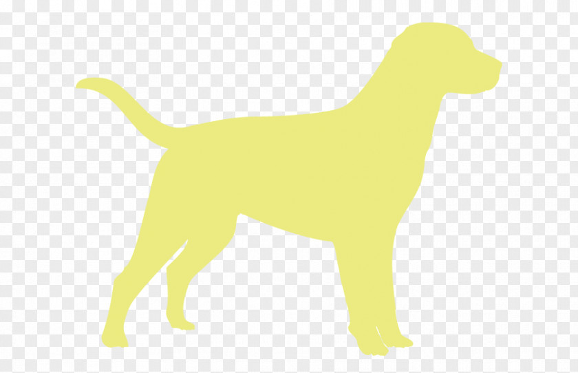 Labrador Dog Breed Puppy Retriever Sporting Group PNG