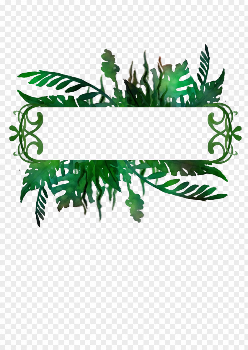 Logo Vascular Plant Green Leaf Grass PNG