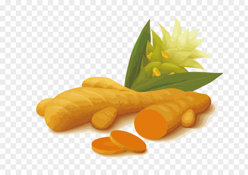 Vector Ginger Turmeric Spice Illustration PNG
