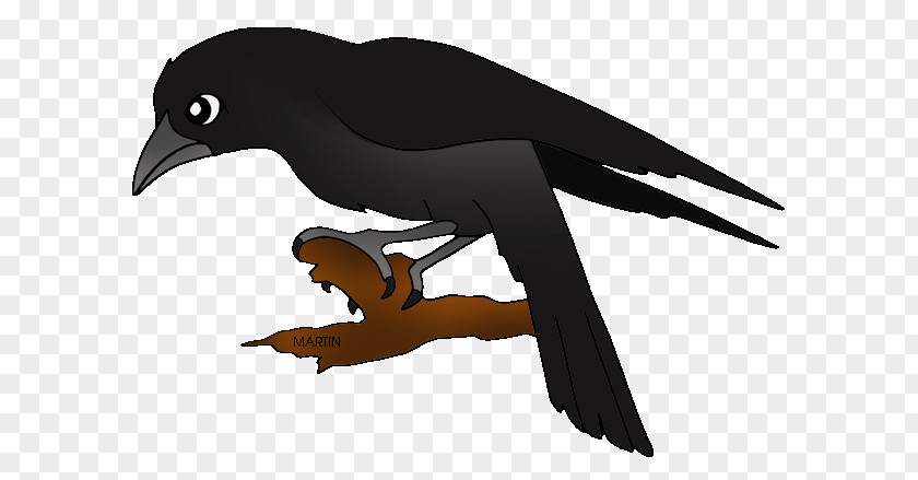 Baltimore Ravens Common Raven Clip Art PNG
