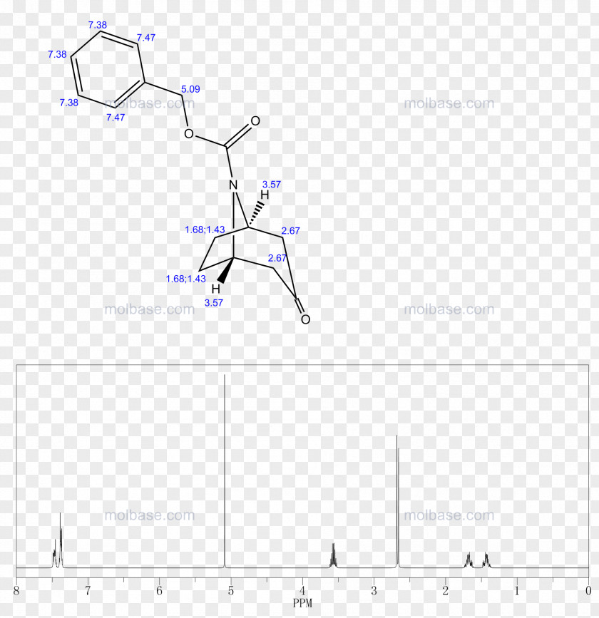 Cas Design Element Product Angle Point Line PNG