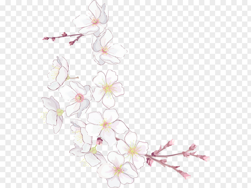 Cherry Blossom Flower Petal Floral Design PNG