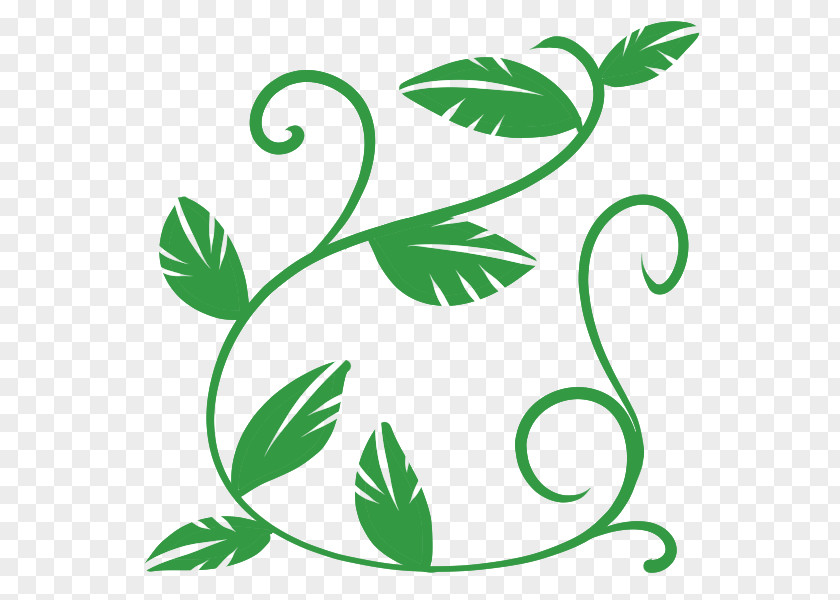 Crane Leaf Plant Vine PNG