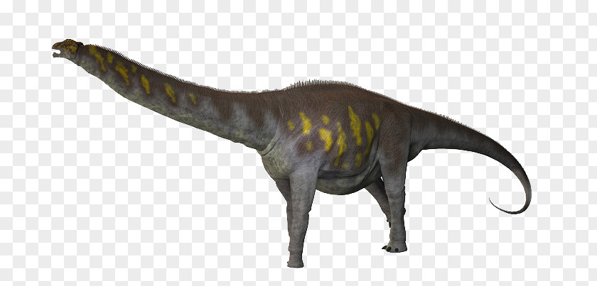 Dinosaur Argentinosaurus Titanosaurus Stock Photography PNG