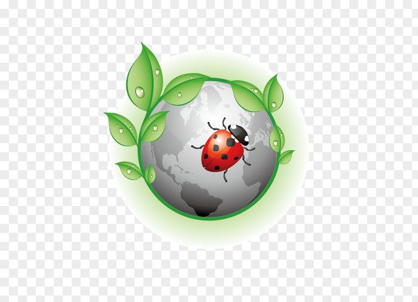 Ladybug Earth Ladybird Illustration PNG