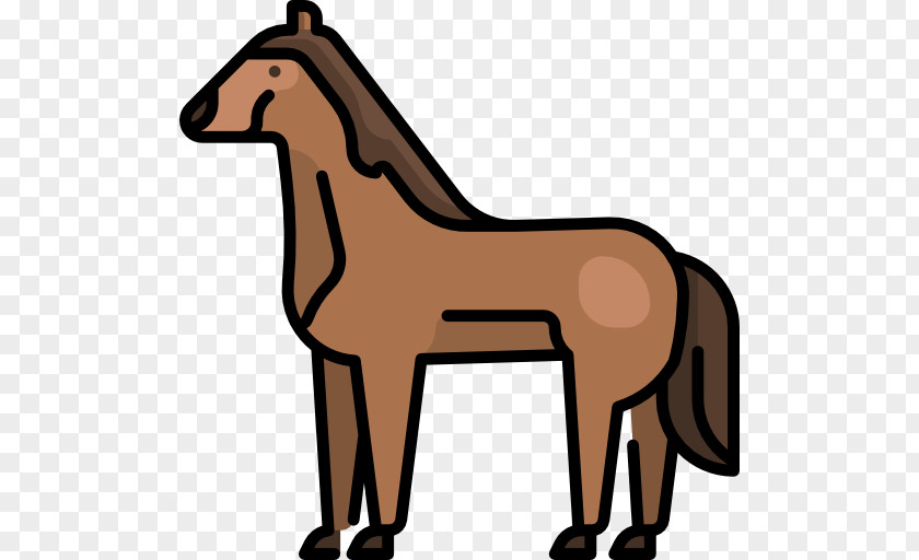 Mustang Mule Foal Stallion PNG