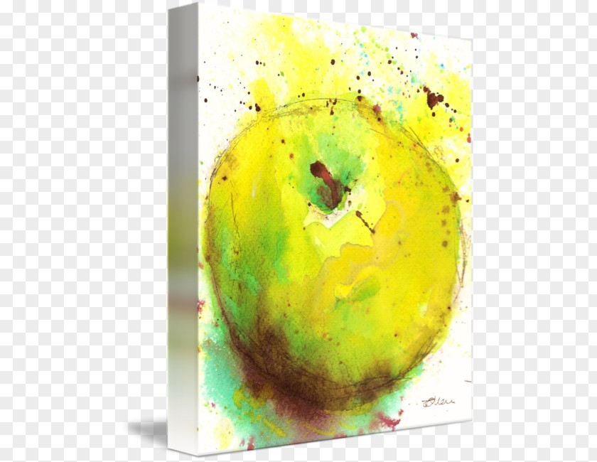 Apple Watercolor Still Life Photography Painting Acrylic Paint PNG