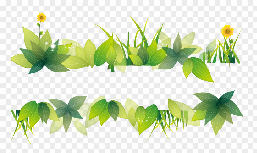 Beautiful Clear Green Grass Download Computer File PNG